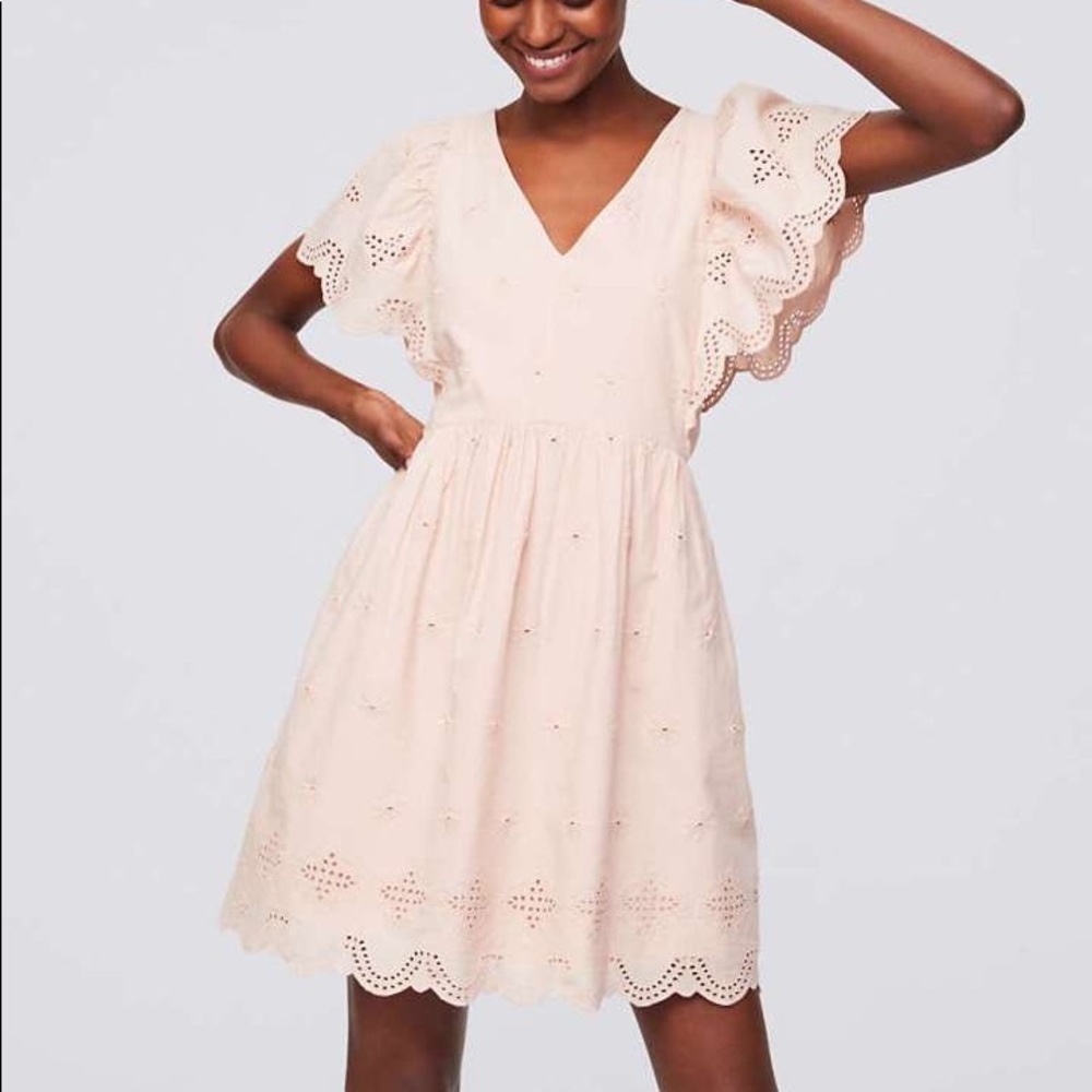 Loft Embroidered Eyelet Mini Dress in dusty pink